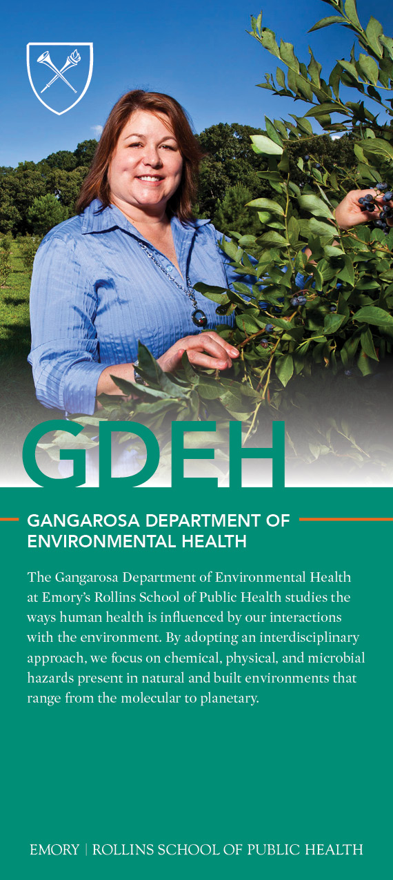 GDEH brochure handout thumbnail