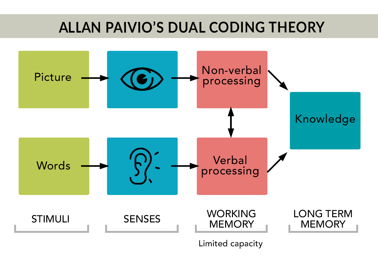 Rollins School of Public Health | Visual Thinking