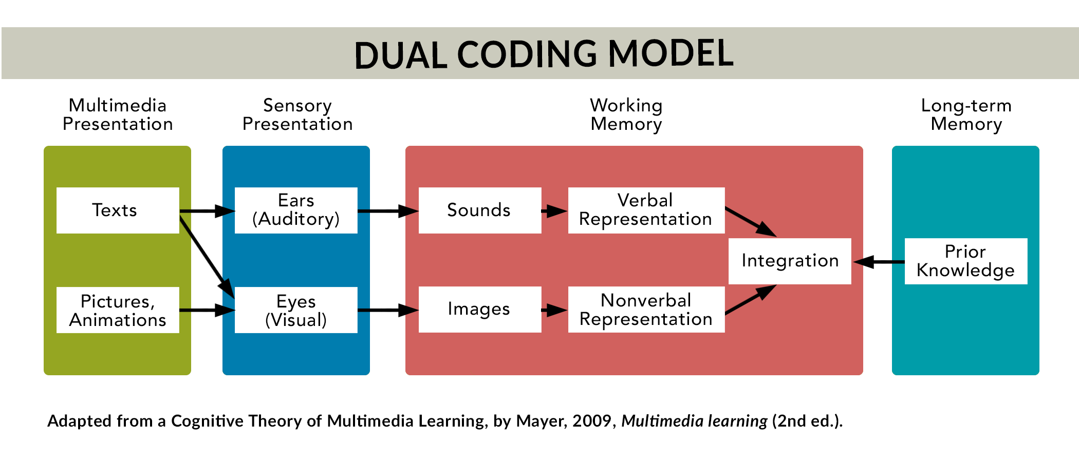 Working-Memory-Dual-Code